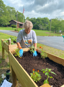 Cover photo for Raised Bed Salsa Garden Class at Senior Center